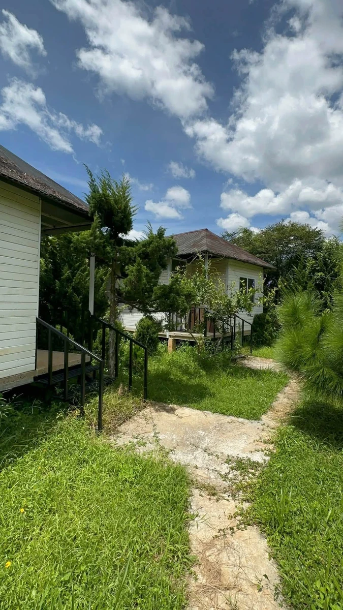 Bán gấp lô đất 4100m2 view rừng thông đường Mimoza, Đà Lạt giá 8,5 tỷ - Ảnh thu nhỏ 2