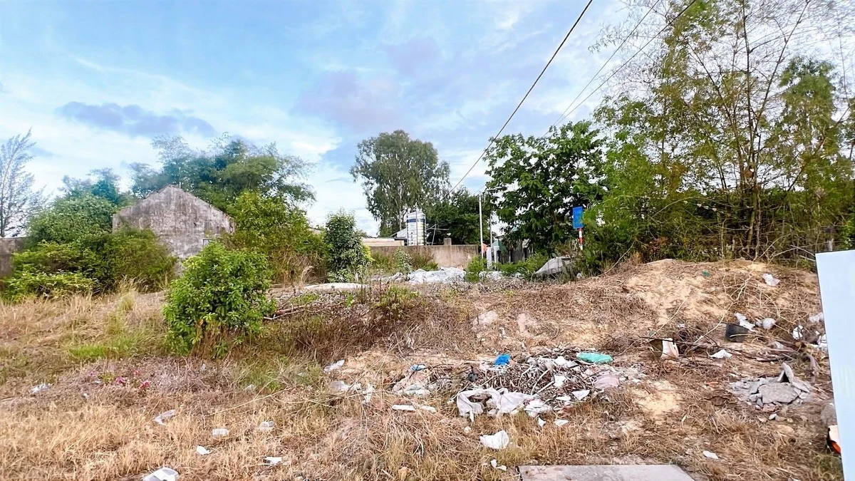 Bán đất gần 500m² full thổ cư mặt tiền Nam Kỳ Khởi Nghĩa 7 tỷ - Ảnh thu nhỏ 4