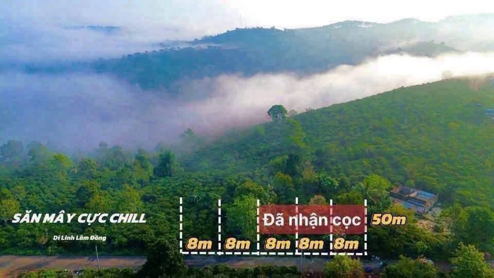 Bán đất Di Linh Lâm Đồng 412m², 849 triệu - Ảnh thu nhỏ 5