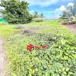 Bán đất vườn 330m² view kênh Bạch Ngưu, lộ ô tô - Ảnh thu nhỏ 3