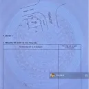Chính chủ gửi bán gấp lô góc 2 mặt tiền siêu đẹp tại trung tâm TP Mới phường Bình Dương giá tốt - Ảnh thu nhỏ 8