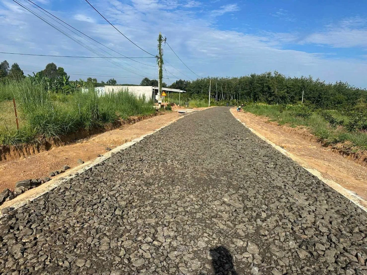 Bán 2 lô đất mặt tiền đường Thuận Lợi 17050m2 - Ảnh 1