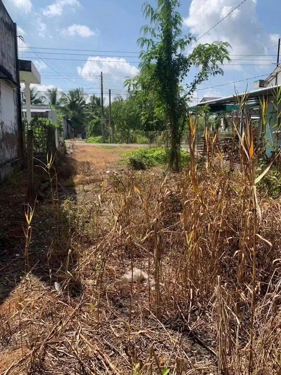 Bán nền đất mặt tiền Phong Mỹ 522m² Hóc Môn - Ảnh thu nhỏ 2