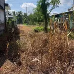 Bán nền đất mặt tiền Phong Mỹ 522m² Hóc Môn - Ảnh thu nhỏ 2