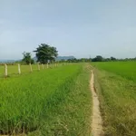 Bán đất 2 sào 6 giá 145 triệu Bình Thuận - Ảnh thu nhỏ 3