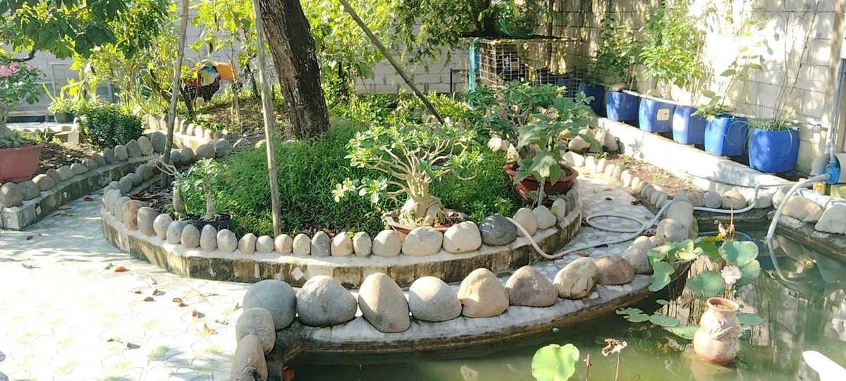 Bán đất 530m2 có sân vườn hồ bơi tại Phú Hưng, TP Bến Tre, giá 1,25 tỷ - Ảnh thu nhỏ 5