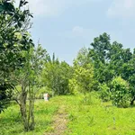 Bán nhà vườn 2335m2 với hồ bơi, Đồng Nai - Ảnh thu nhỏ 3