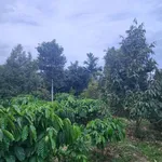 Bán đất 400m² Cao Thắng Ea Kao, giá 1 tỷ 3 - Ảnh thu nhỏ 4