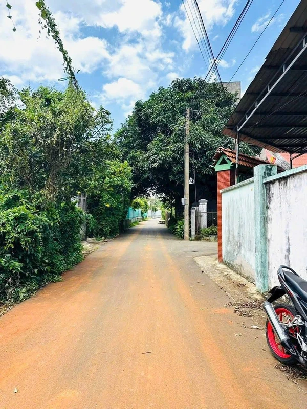 Bán gấp đất vườn 535m² 2 mặt tiền tại Hòa Long, Phường Tam Long, giá 3,2 tỷ