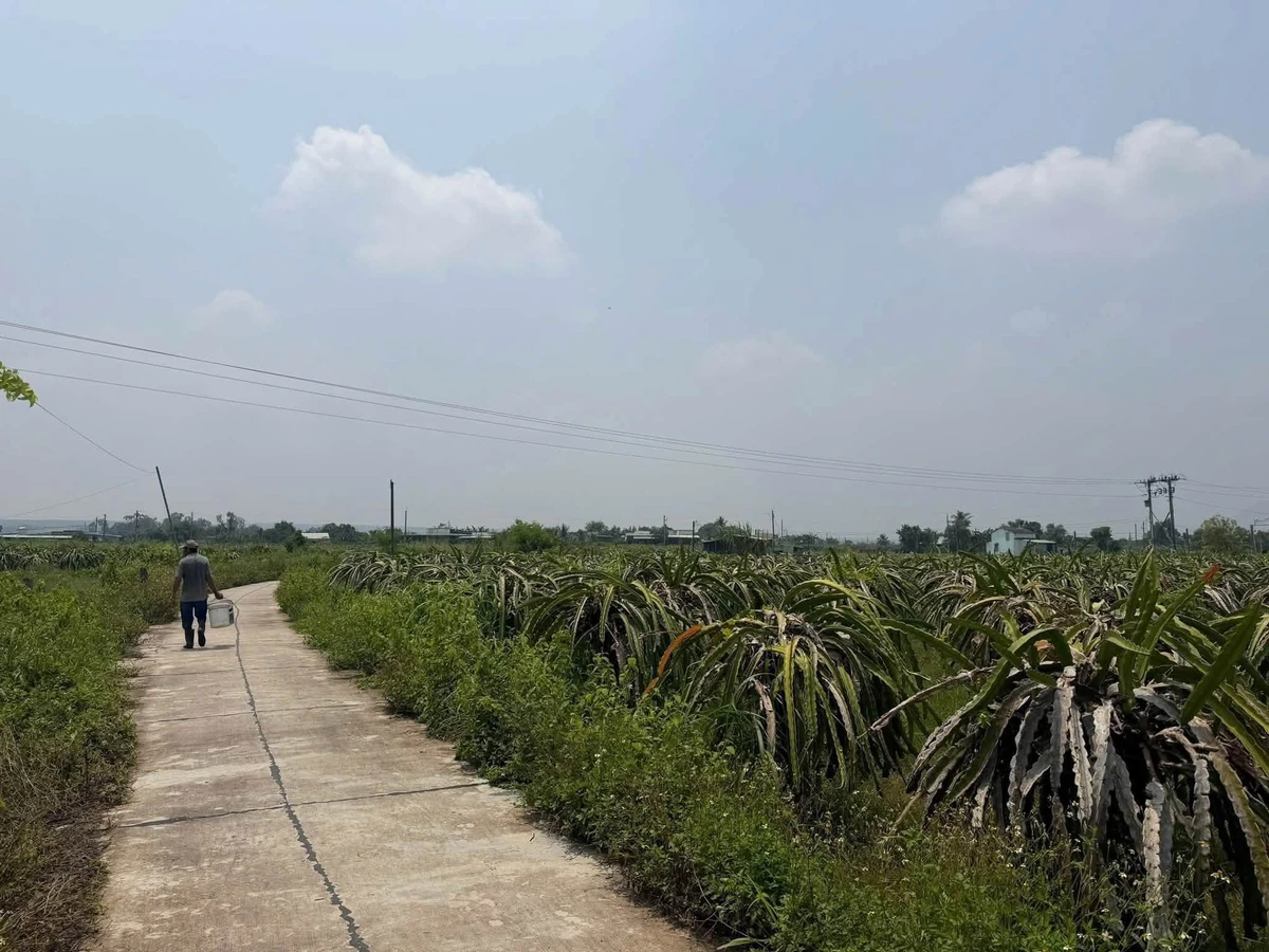Bán lô đất 432m2 giá 388 triệu Lâm Đồng - Ảnh thu nhỏ 2