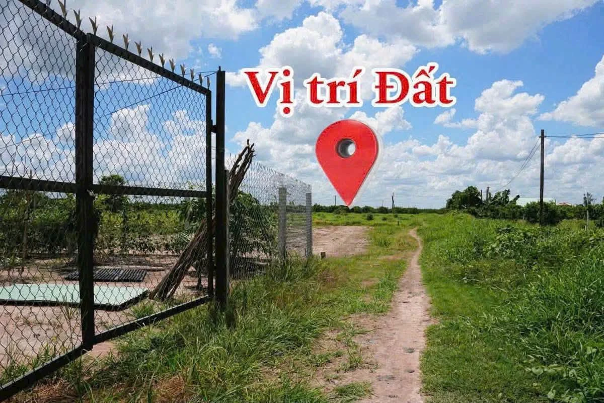 Bán đất vườn 1000m² view núi Tây Ninh – 359 triệu - Ảnh 1