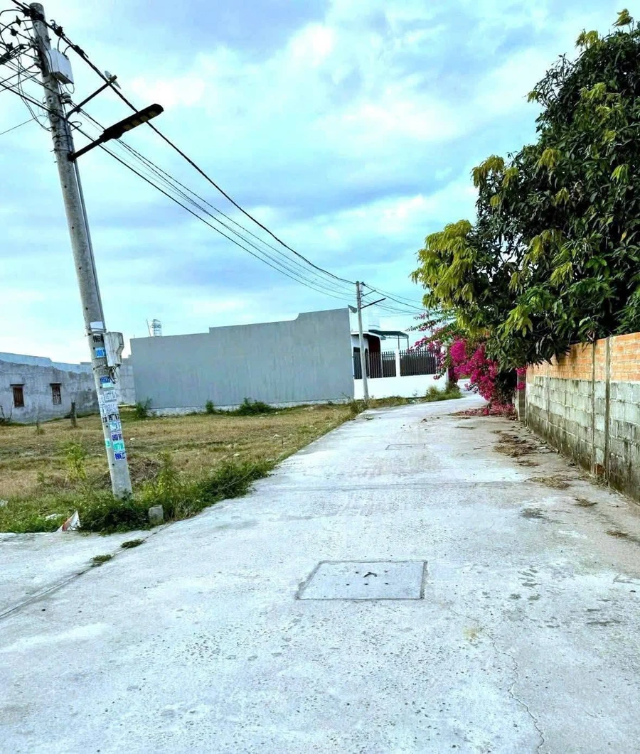Bán đất Phong Nẫm Phan Thiết 98,4m² 590 triệu - Ảnh thu nhỏ 2