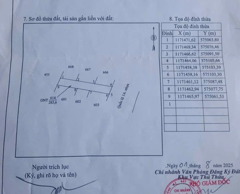 Bán đất thổ mặt tiền Quốc Lộ 1A 288m2, Thủ Thừa, Long An - Ảnh thu nhỏ 5