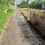 Bán đất xã Phước Vân Cần Dước Long An 256m² hạ 1 tỷ 450 - Ảnh thu nhỏ 5