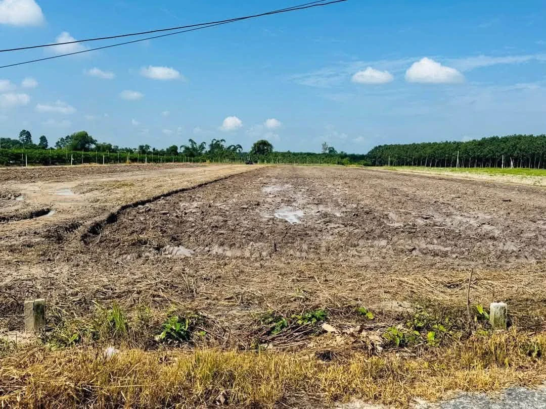 Bán đất vườn 5x100m (500m2) đường nhựa 8m tại Phường Bình Minh, Tây Ninh - Ảnh 1