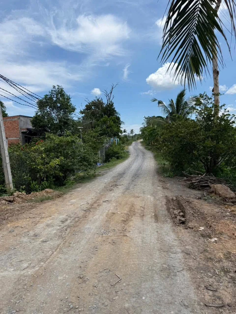 Bán đất 1000m² Ấp 8 Lương Hòa, Bến Lức, Long An - Ảnh thu nhỏ 3