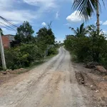 Bán đất 1000m² Ấp 8 Lương Hòa, Bến Lức, Long An - Ảnh thu nhỏ 3