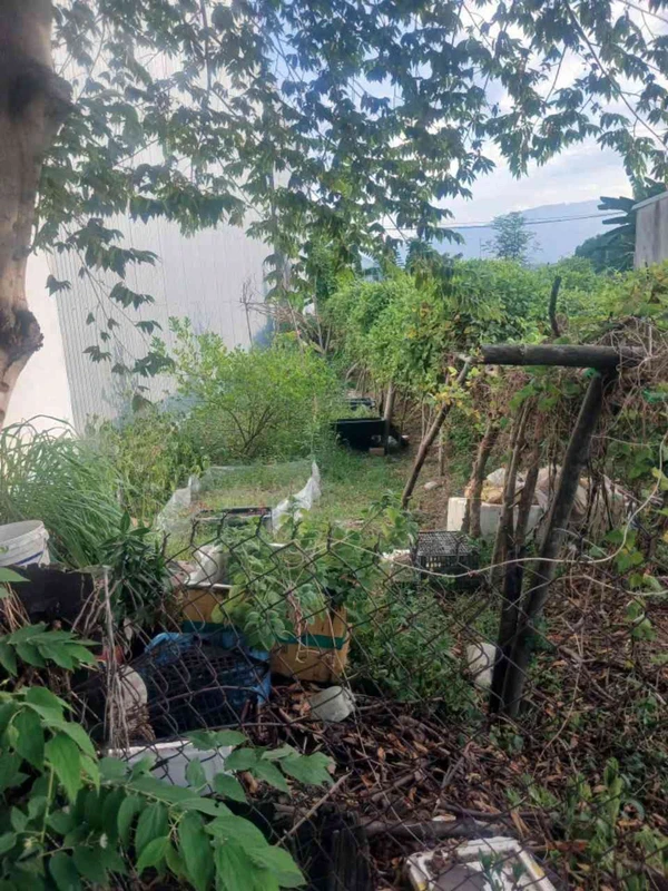 Bán đất mặt tiền Bàu Nghè 2, 100m² giá 3 tỷ, Đà Nẵng