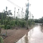 Bán đất Cẩm Mỹ Đồng Nai 5500m2 sổ hồng 11,5 tỷ - Ảnh thu nhỏ 1