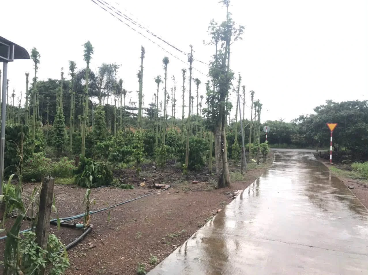 Bán đất Cẩm Mỹ Đồng Nai 5500m2 sổ hồng 11,5 tỷ - Ảnh 1