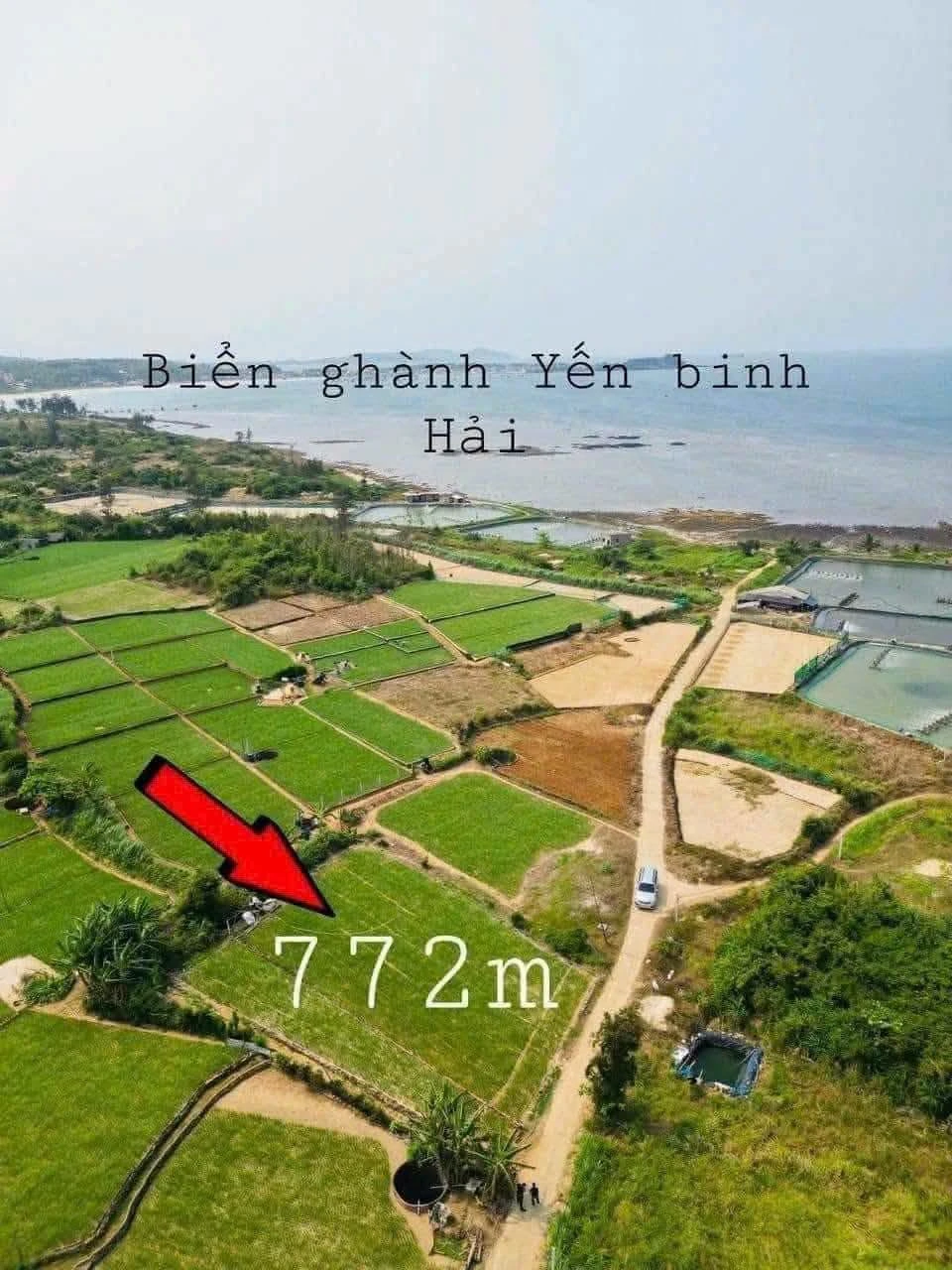 Bán đất 772m² Cần Giờ giá 399 triệu - Ảnh 1