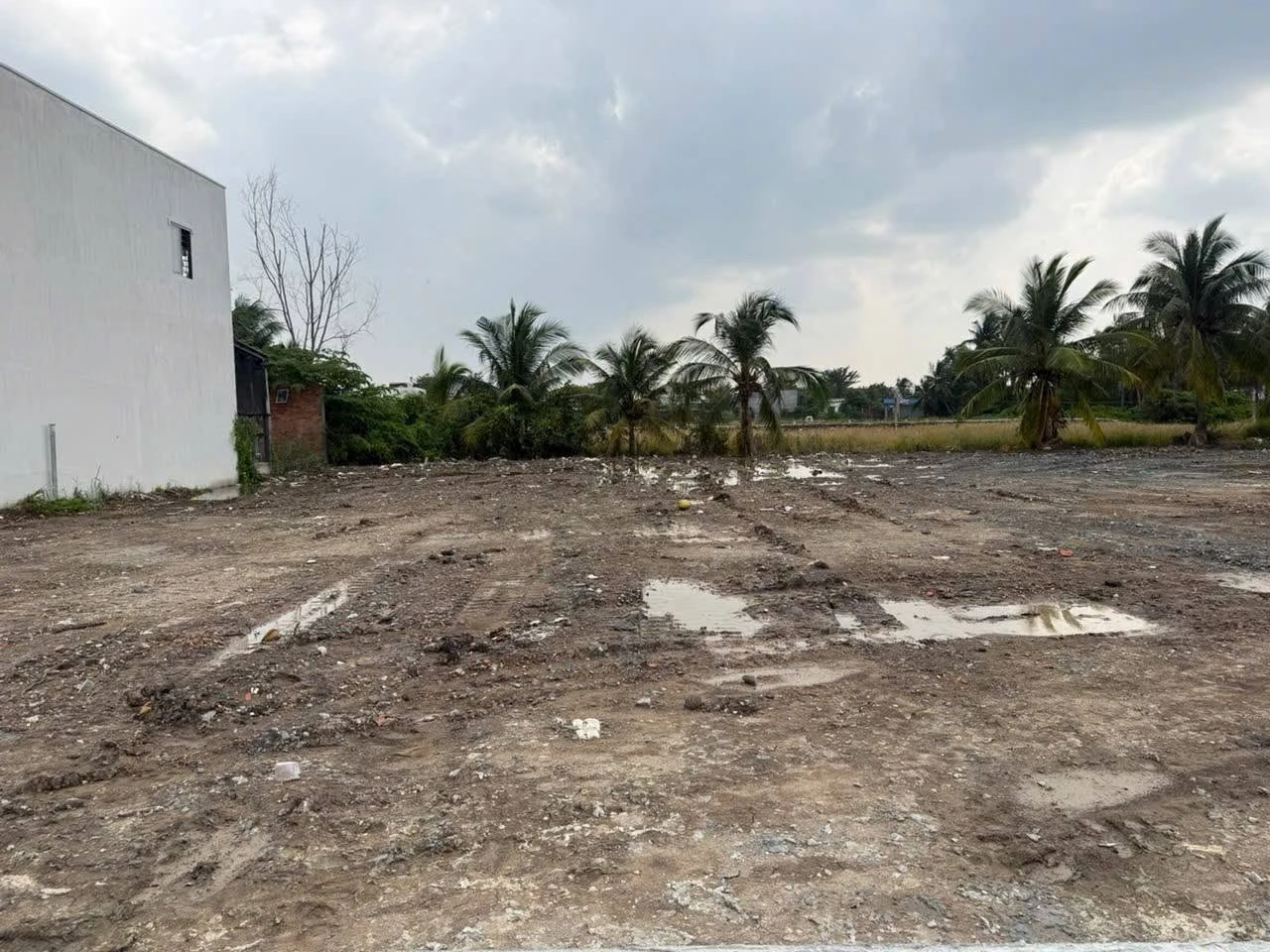 Bán nền đất 175m² thổ cư Tân Bửu, Bình Chánh 1 tỷ 299 triệu - Ảnh 1