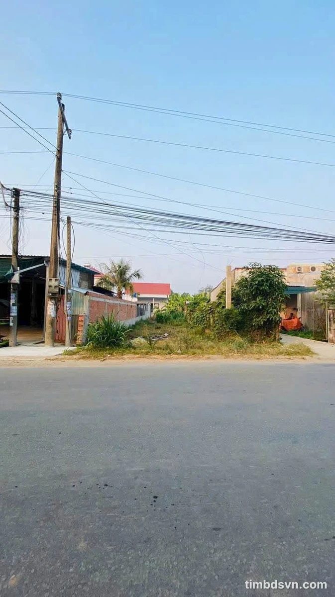 Bán đất mặt tiền Tân Hội 210m² Bình Chánh - Ảnh thu nhỏ 4