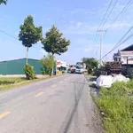 Bán đất lúa 1020m² mặt tiền nhựa Tân Trụ Long An - Ảnh thu nhỏ 3