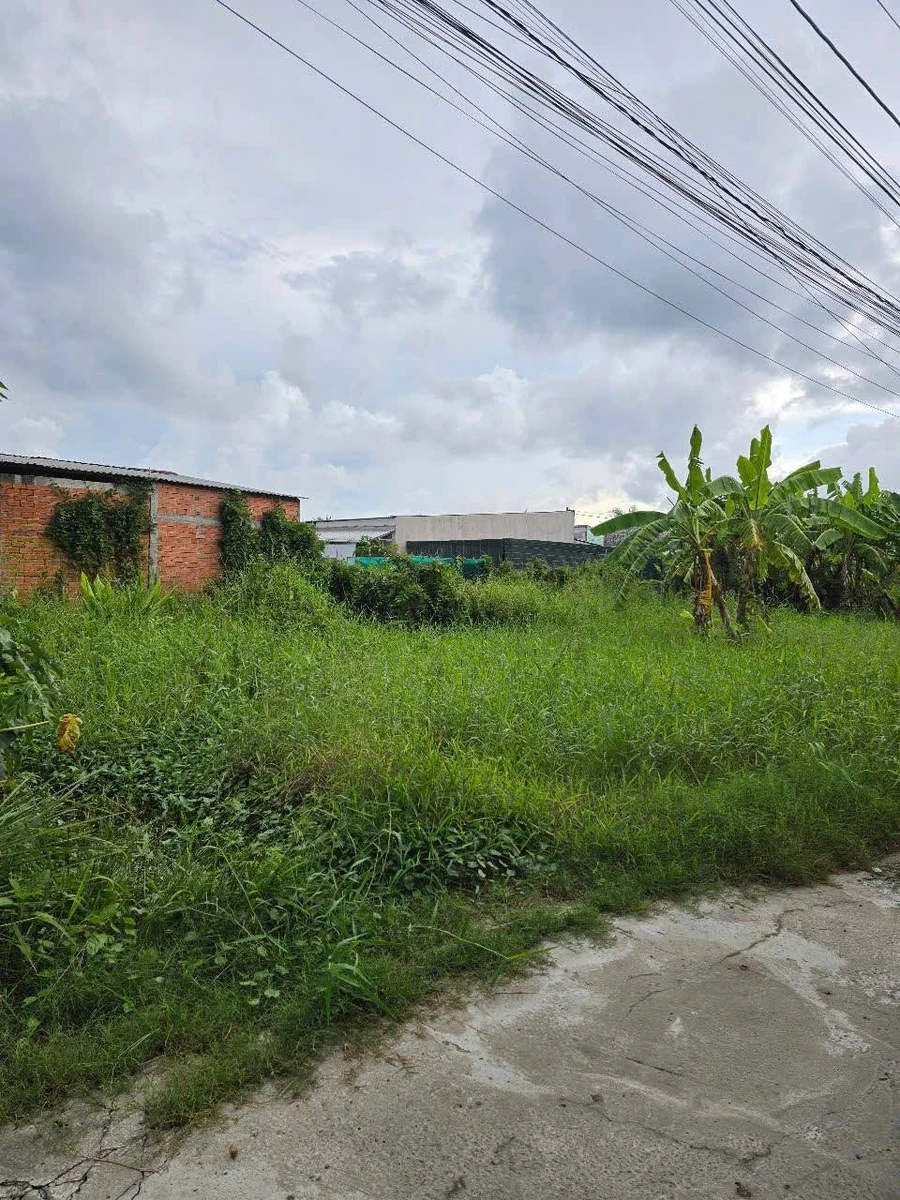 Bán đất nền 158,8m² Phú Tân Bến Tre 350 triệu - Ảnh thu nhỏ 3