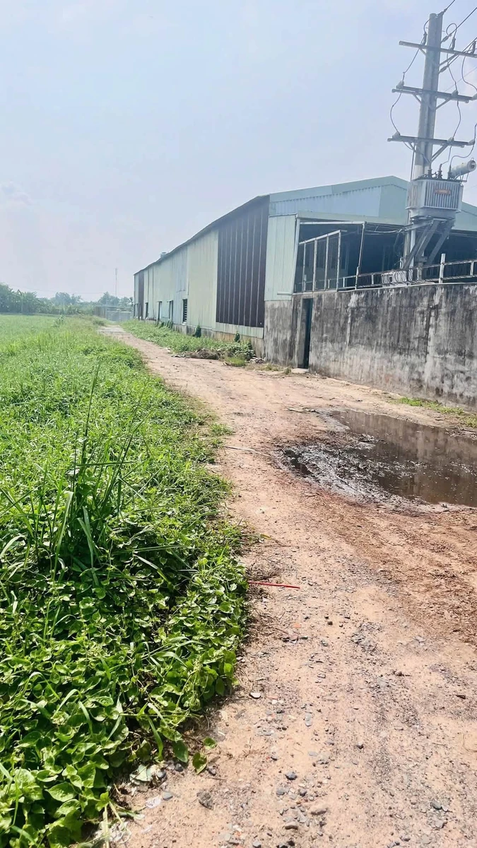 Bán lô đất mặt tiền 963m² Trung Đông 7, Hóc Môn - Ảnh thu nhỏ 2