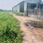 Bán lô đất mặt tiền 963m² Trung Đông 7, Hóc Môn - Ảnh thu nhỏ 2