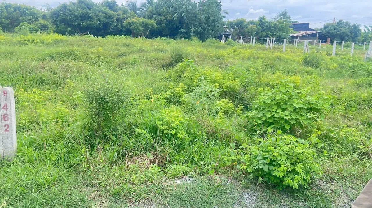 Bán đất Tây Ninh 155m² 229 triệu Dương Minh Châu - Ảnh thu nhỏ 5