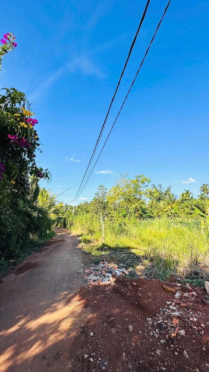 Bán đất sào ở hẻm 30 đường 19 Tháng 5, 785m² - 790 triệu - Ảnh 1