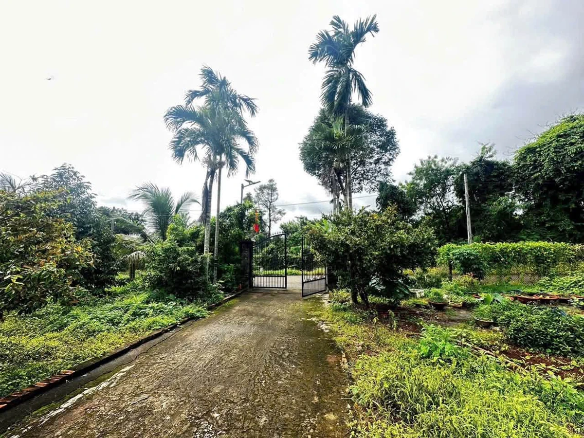 Bán đất Châu Đức 13.000m2 (200m thổ cư) 22 tỷ - Ảnh thu nhỏ 3