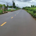Bán 2,3 ha đất sầu riêng mặt tiền Quốc Lộ 29, Đắk Lắk - Ảnh thu nhỏ 1