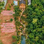 Bán đất 210m² Măng Đen, Phan Bội Châu - 7 tỷ, view rừng - Ảnh thu nhỏ 2