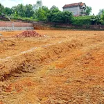 Bán đất Sóc Sơn Hà Nội 100m2 dưới 500 triệu - Ảnh thu nhỏ 2
