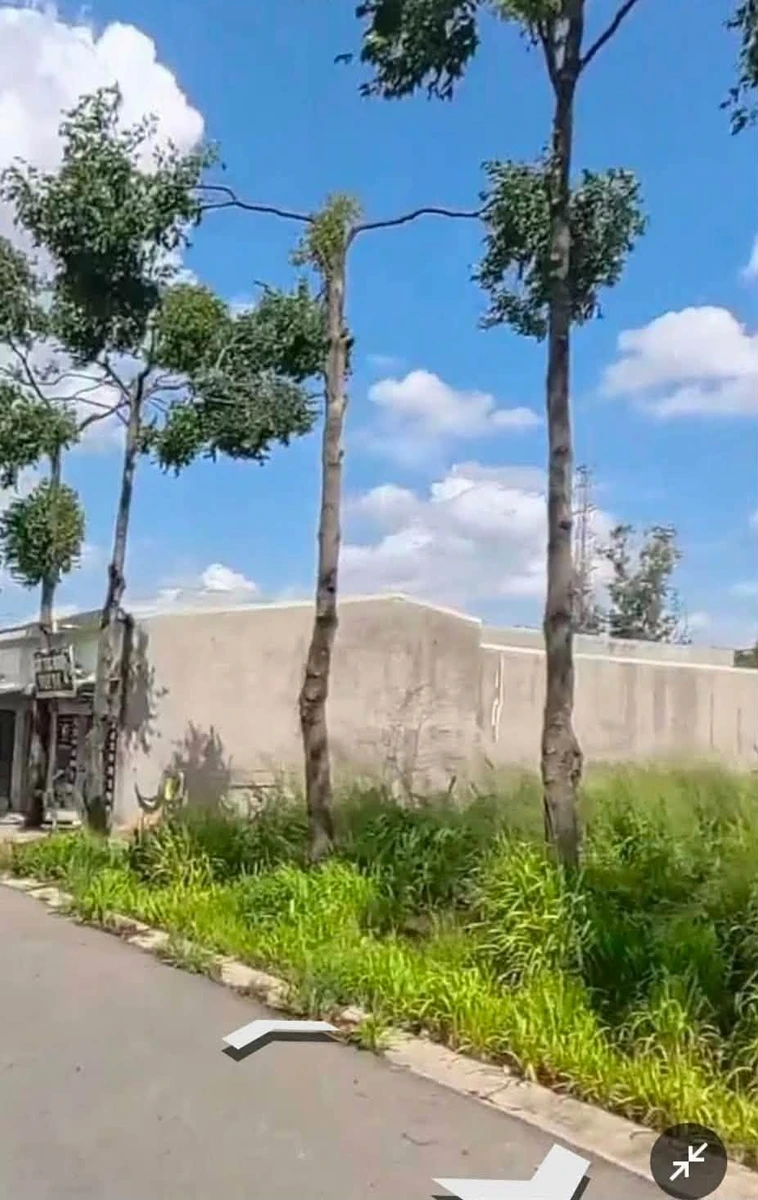 Bán đất Mỹ Phước 3 Bến Cát 150m² thổ cư 100% - Ảnh thu nhỏ 2