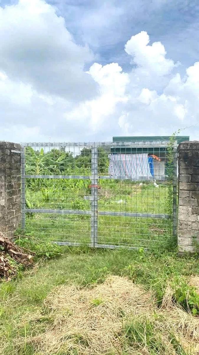 Bán đất 3000m² Bến Tắm Hải Phòng 400 triệu - Ảnh thu nhỏ 3
