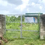 Bán đất 3000m² Bến Tắm Hải Phòng 400 triệu - Ảnh thu nhỏ 3