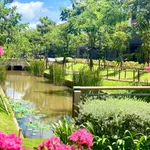 Nhà phố, biệt thự dự án Waterpoint chiết khấu 28.5%, tặng voucher nội thất 699tr, 0933 068 *** E. Đat - Ảnh thu nhỏ 9