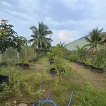 Bán đất 578m2 tặng nhà mát tại Phường Sơn Đông, Bến Tre giá 1,6 tỷ - Ảnh thu nhỏ 3