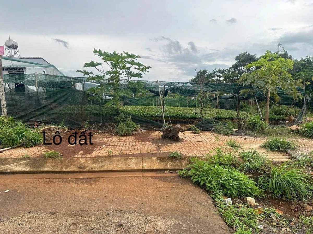 Bán đất nền Tái Định Cư Hòa Thắng 120m² 2,85 tỷ - Ảnh thu nhỏ 3