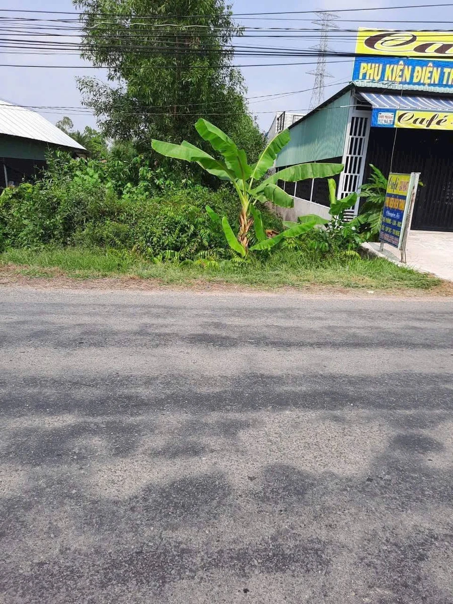 Bán nền đất mặt tiền 800m² Tây Ninh 2 tỷ 2 - Ảnh thu nhỏ 2