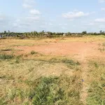 Chính chủ bán gấp 5600m2 đường Tỉnh 881 nhựa 10m, cách Phà Mỹ An 1km,giá 1tr160/m2 - Ảnh thu nhỏ 22
