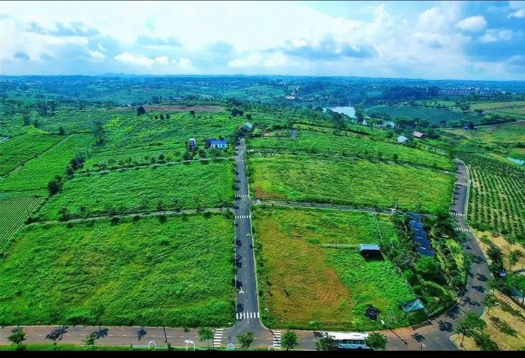 Bán lô đất 147m² Đồi Chè Tâm Châu 870 triệu - Ảnh 1