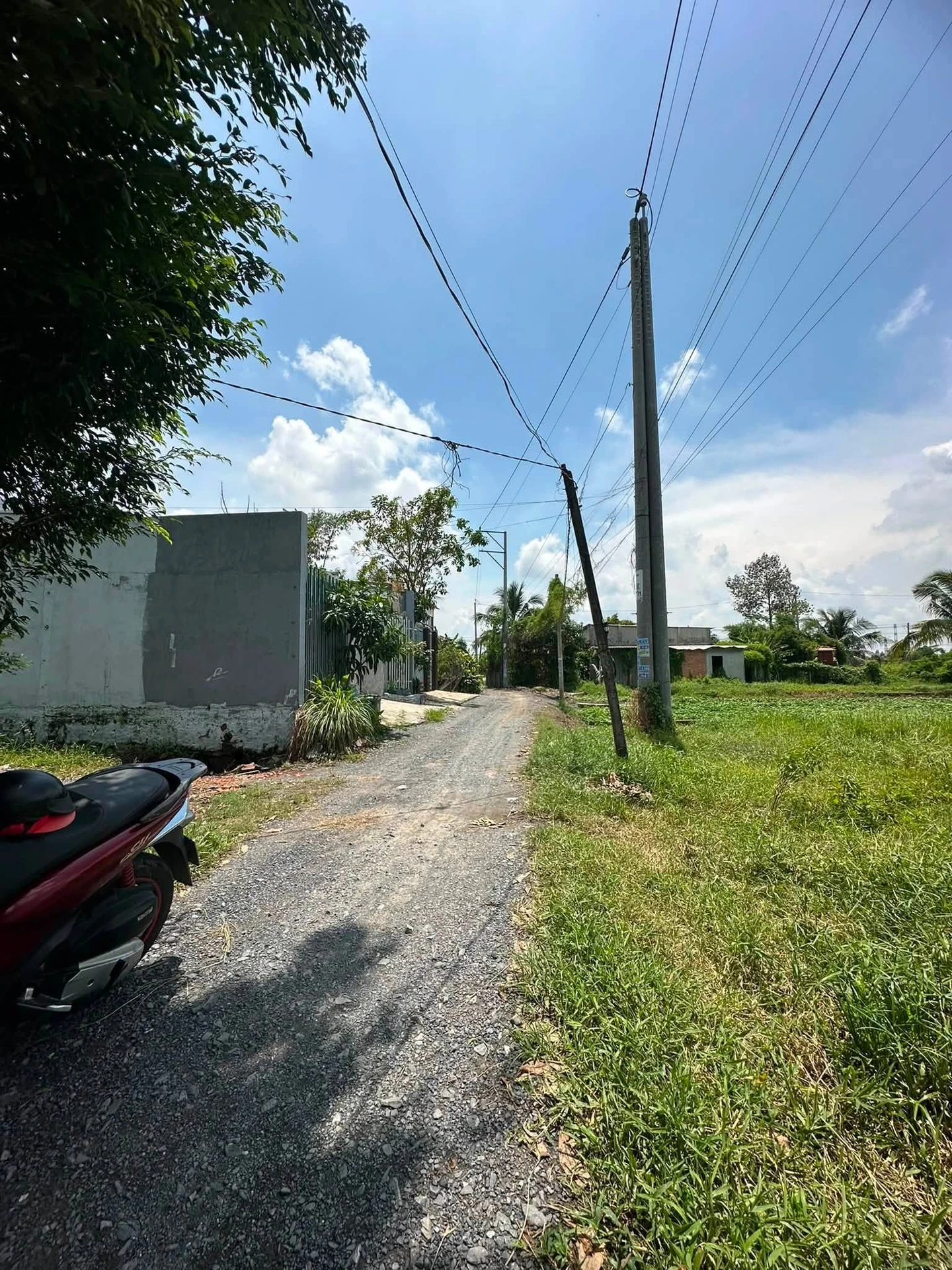 Bán đất thổ cư 116m² Hòa Khánh Nam, Đức Hòa, Long An - Ảnh 1