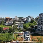 Bán nhà gỗ 456m² view đẹp Đã Lạt 11 tỷ - Ảnh thu nhỏ 2