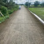 Bán đất lúa trồng dừa 1123m² mặt tiền Trần Văn Rĩ, Bình Trinh Đông, Tân Trụ, Long An - 820 triệu - Ảnh thu nhỏ 2