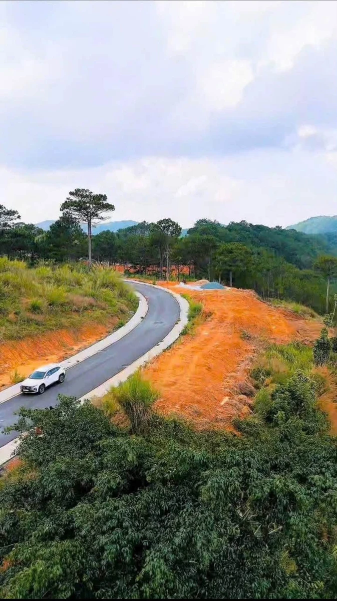 Bán lô đất An Sơn Đà Lạt 371m² view thông xanh - Ảnh thu nhỏ 2